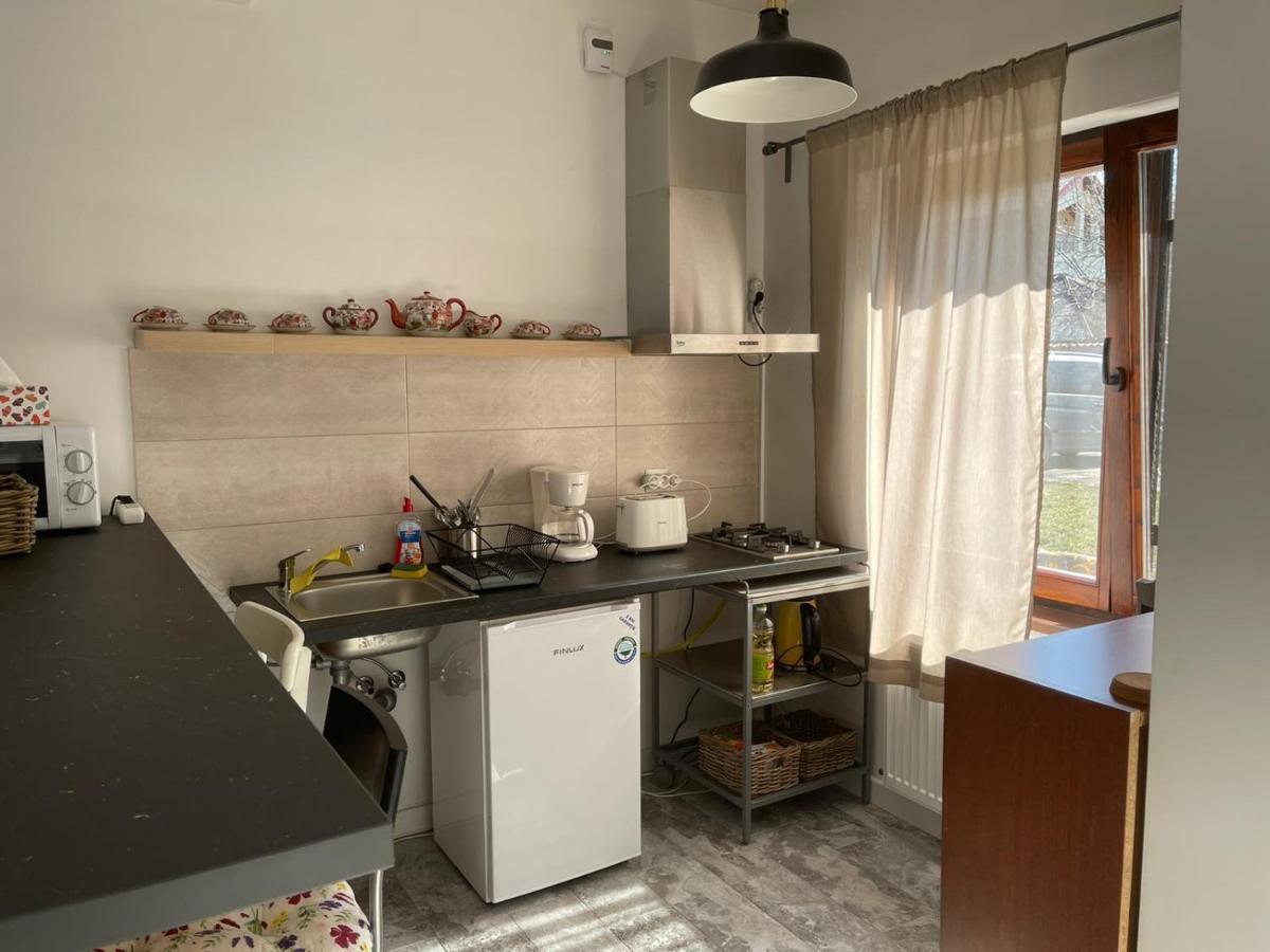 Tinamore Otopeni Buitenkant foto